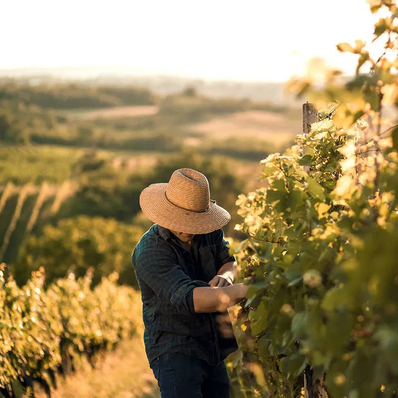 Uco Valley Winery - Wine & Spirits Blog Wine Blog