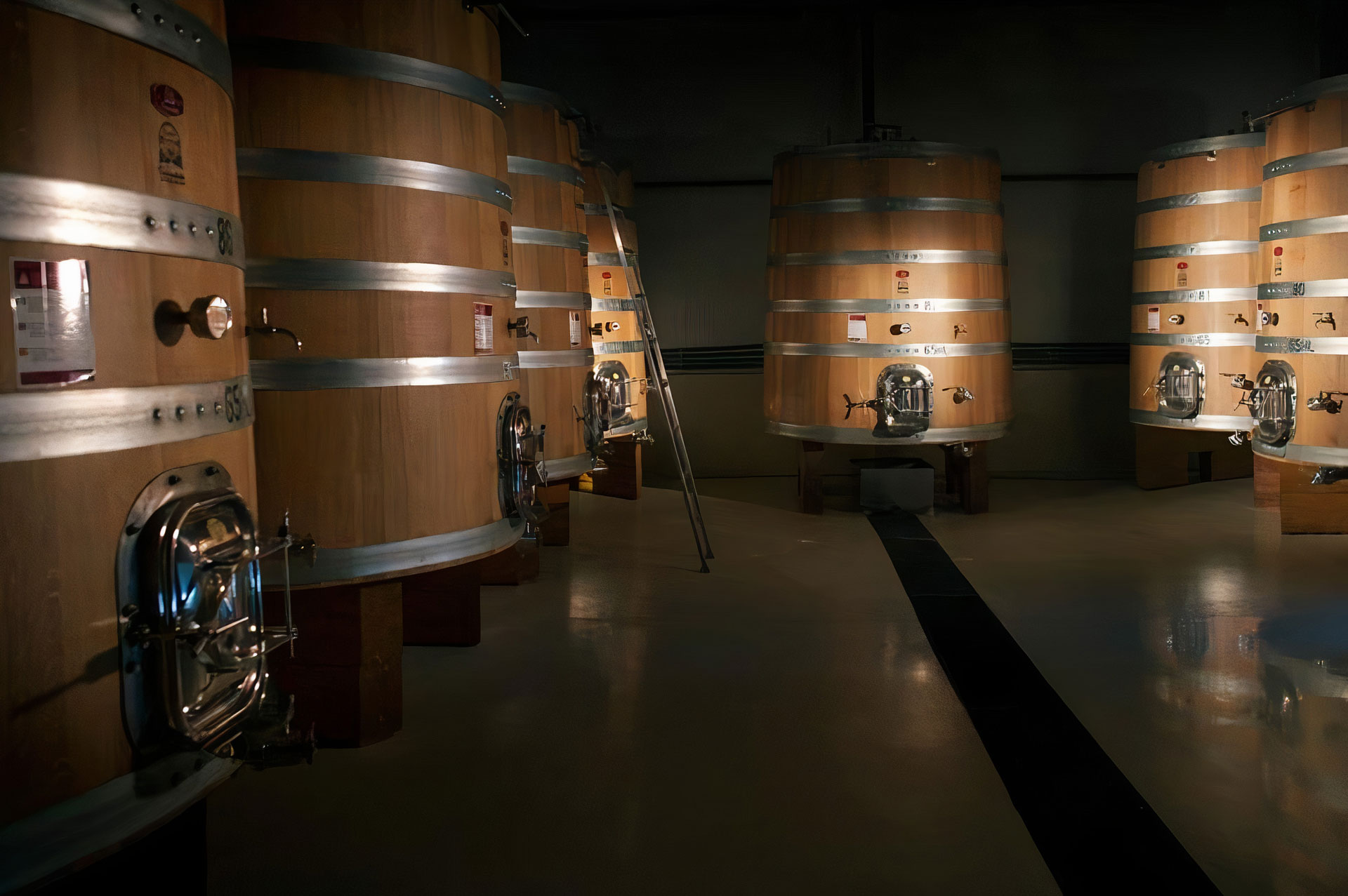 Vinos de La Luz – Wine & Spirits Blog Wine Blog