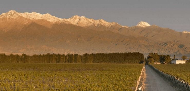 Vineyards in the Mendoza Region - Wine and Spirits Blog Wine Blog photo Vineyards in the Mendoza Region - Wine and Spirits Blog Wine Blog