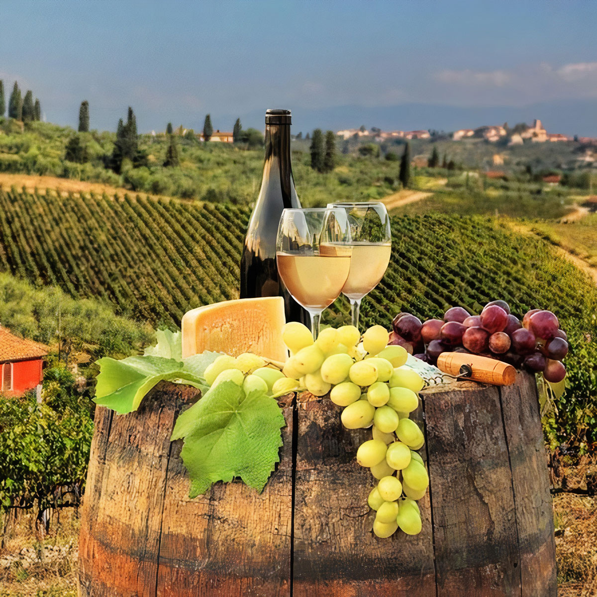 Sunny region Tuscany - Blog about wine and strong alcoholic beverages Wine Blog