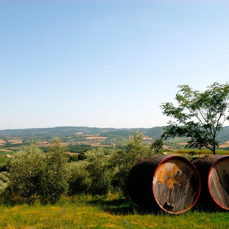 Tuscany - Blog about wine and strong alcoholic beverages Wine Blog photo Tuscany - Blog about wine and strong alcoholic beverages Wine Blog