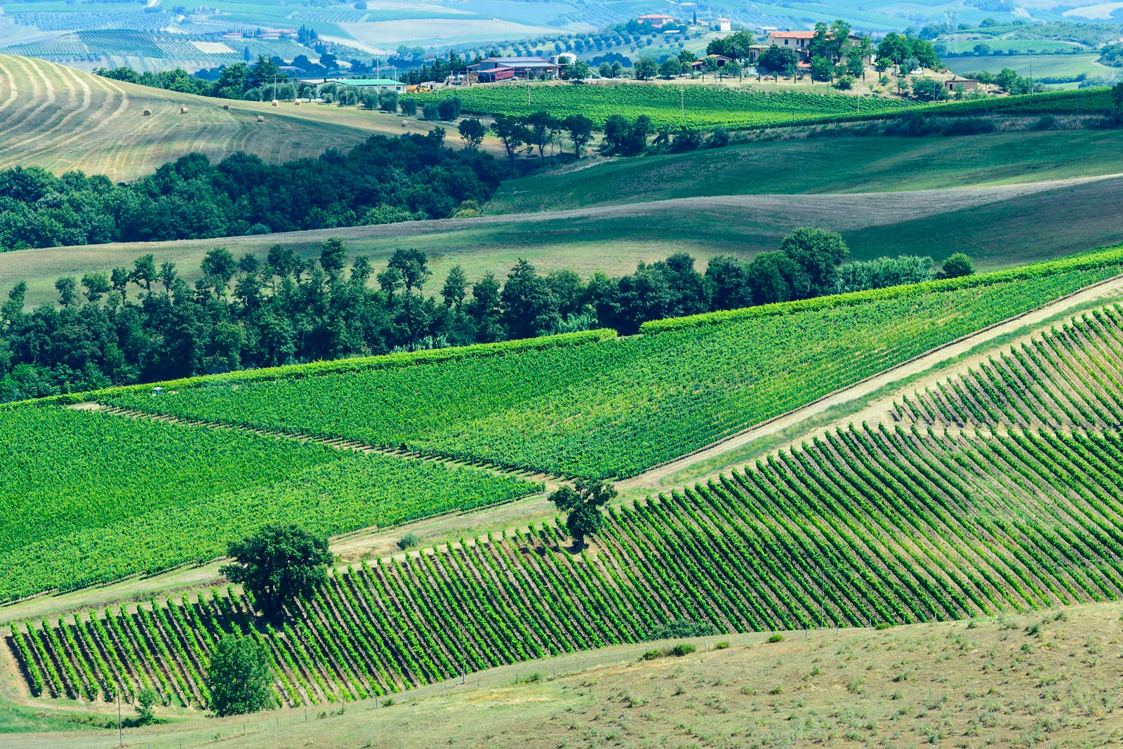 Montalcino - Wine & Spirits Blog Wine Blog