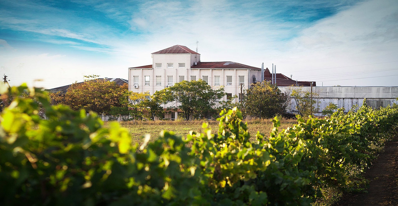 Winery Koblevo - Blog about wine and strong alcoholic beverages Wine Blog 