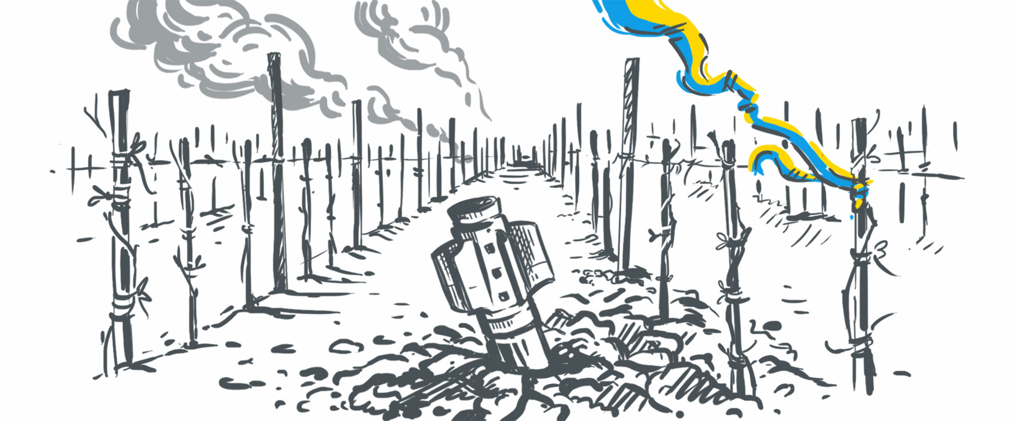 War with winemaking - Blog about wine and strong alcoholic beverages Wine Blog