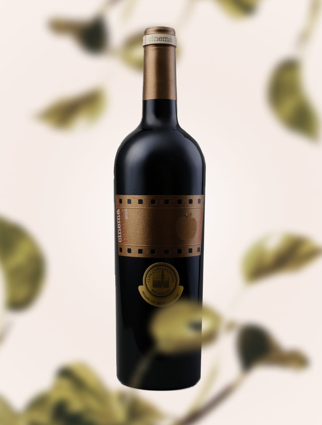 Vinos de La Luz Cinema Paraiso 2012 dry red wine -1