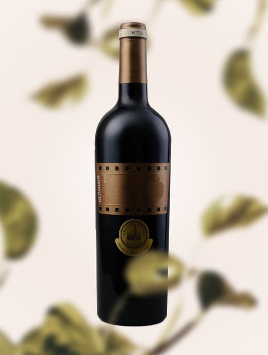 Vinos de La Luz Cinema Paraiso 2012 dry red wine