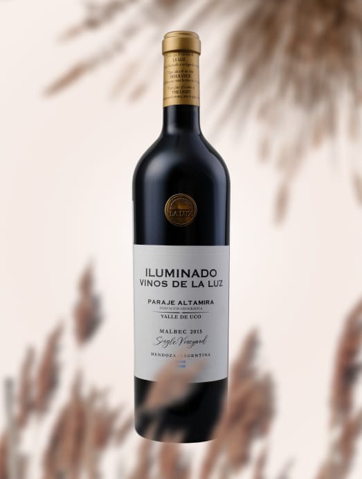Vinos de La Luz Iluminado Paraje Altamira 2015 Dry red wine 