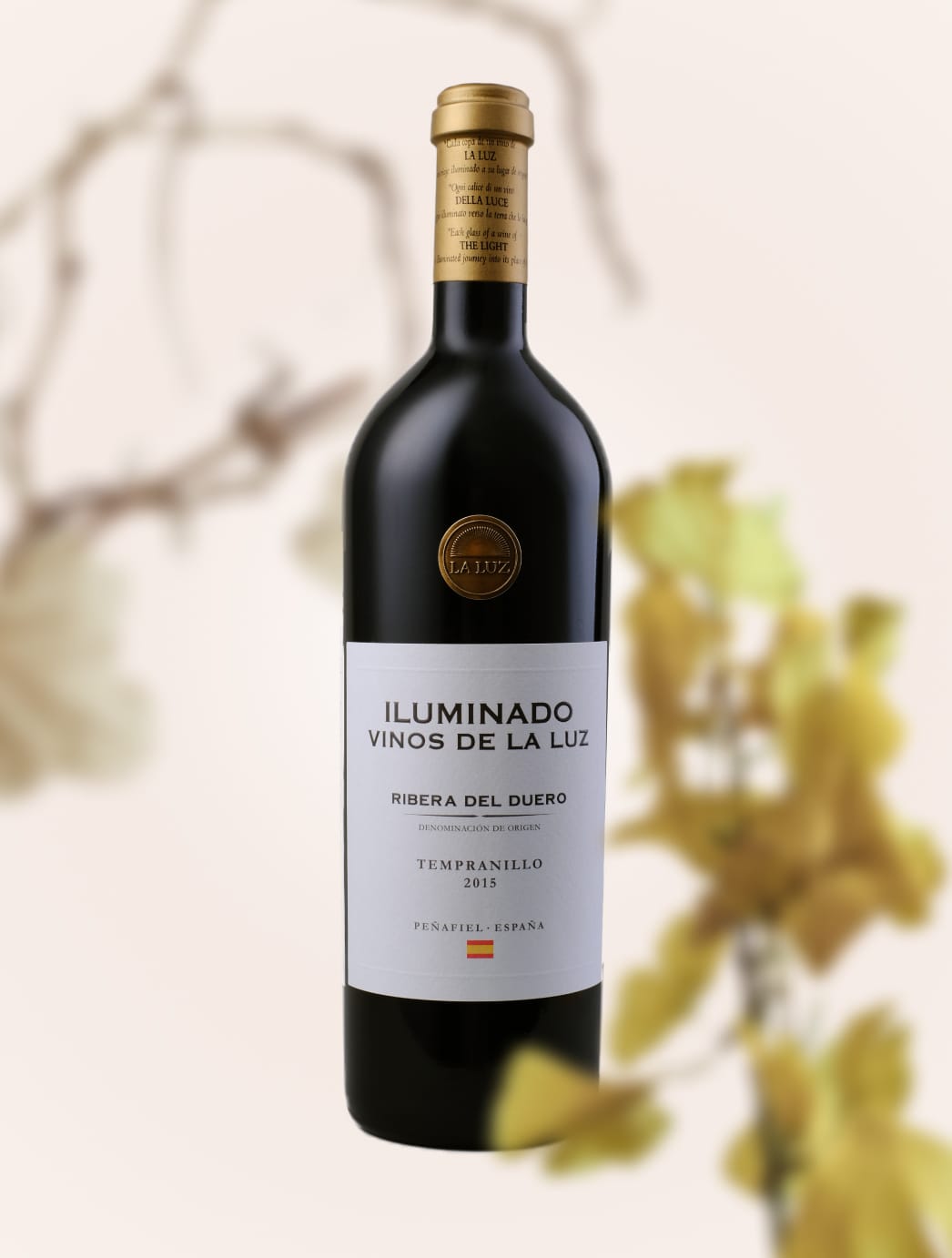 Wine Vinos de La Luz Iluminado Ribera del Duero 2015 dry red wine - 1 - Blog about wine Wine Vinos de La Luz Iluminado Ribera del Duero 2015 dry red wine - 1
