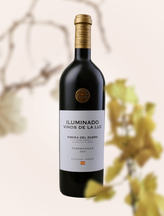 Wine Vinos de La Luz Iluminado Ribera del Duero 2015 dry red wine